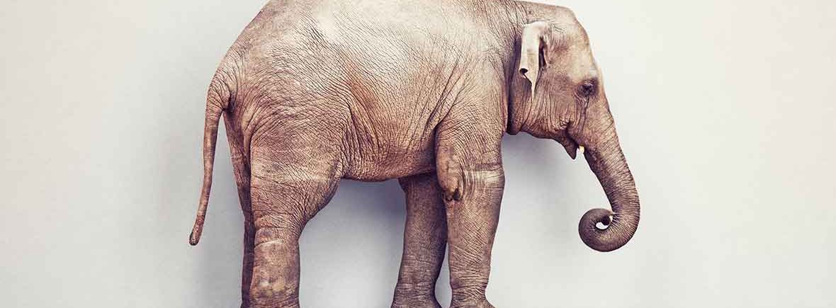 Betydning af underlivssmerte